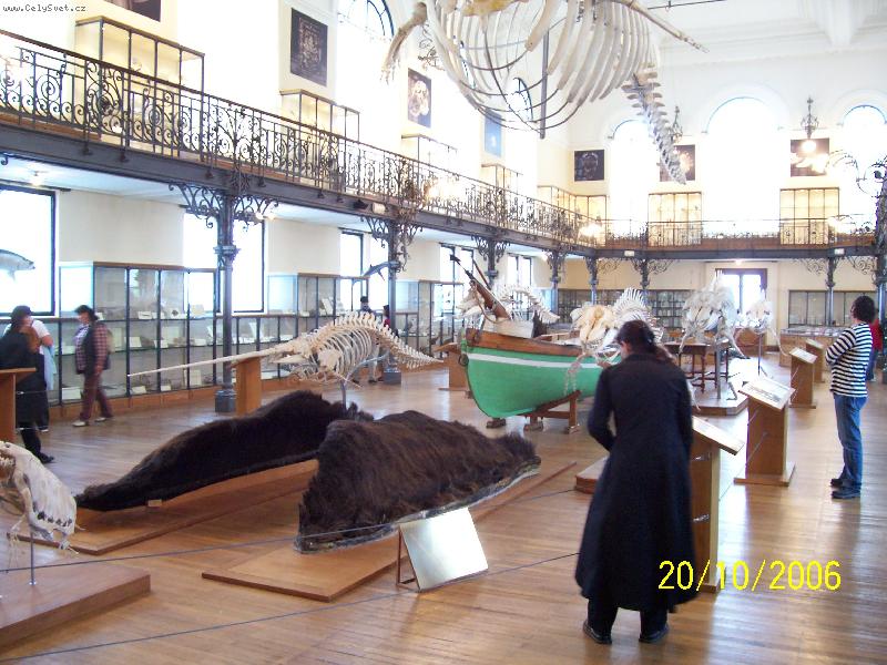 Foto: Monako-Expozice Oce�nografick�ho muzea.