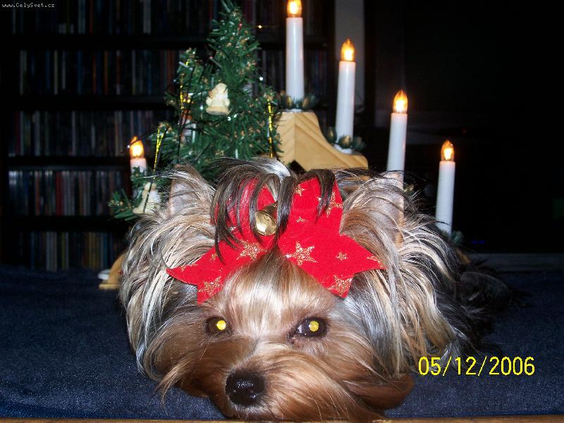 Foto: Bessy-Moje prvn� v�noce..