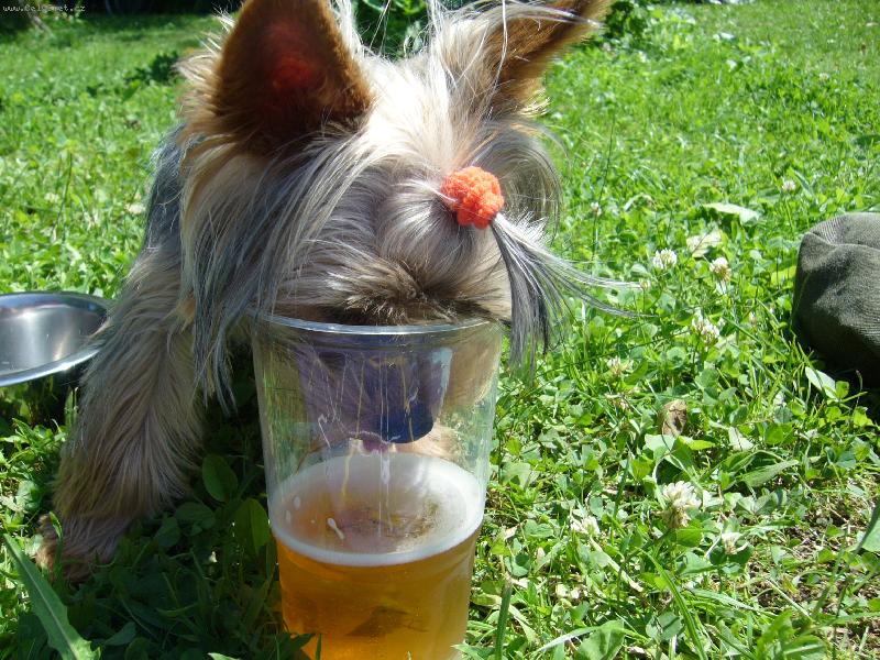 Foto: MIA z D���na-to je dobrota