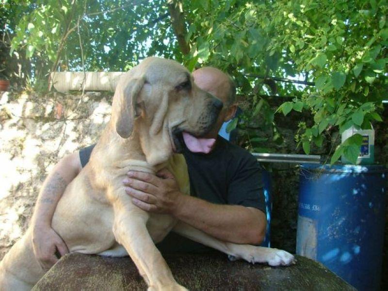 Foto: Astelle-Astelle 20 ti mesicni fena, svetla velice neduveriva, velice statna