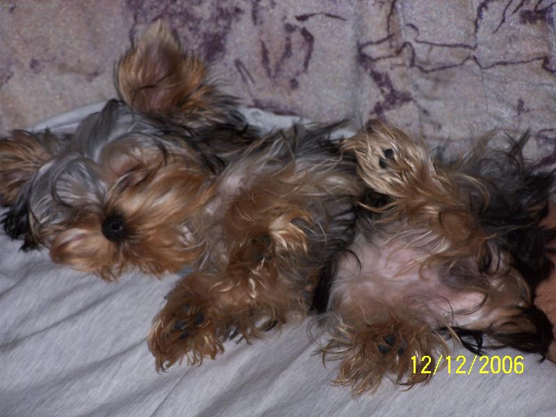 Foto: Mont�k-takhle odpo��v�m