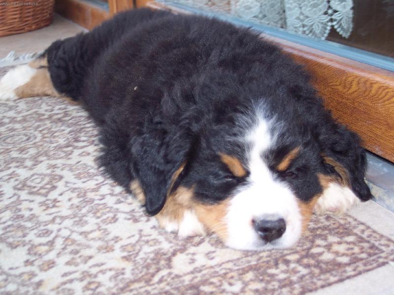 Foto: kelly-Chrrrrrrrrrrrrrrrrrrrrr