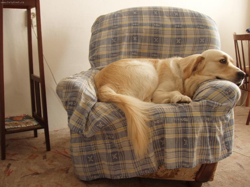 Foto: nenu� m� furt se d�vat do toho fo��ku!