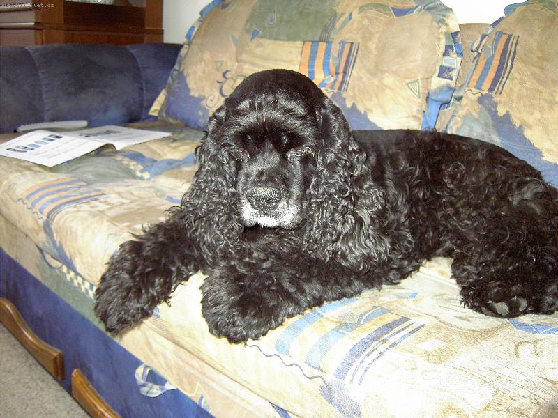 Foto:  Roch�nek-M�j jedin� mil��ek