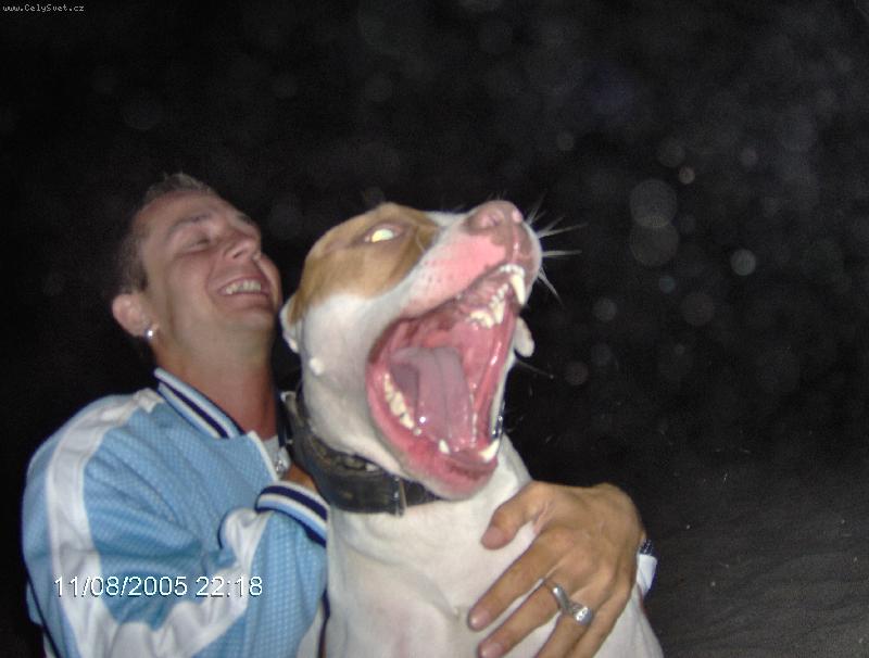 Foto: To je srandy kopec-Cezar a panicek