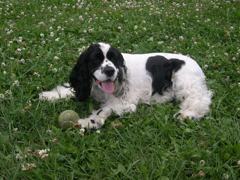 Foto: taky jsem kv�tinka-taky jsem kv�tinka