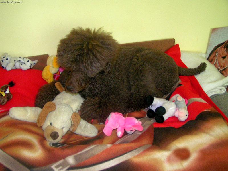 Foto: Cowboy Corky Brown children-Cowboy s koris�ou