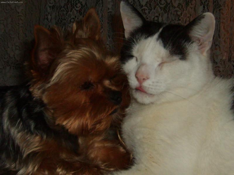 Foto: ja a muj kamarad-pak ze to nejde