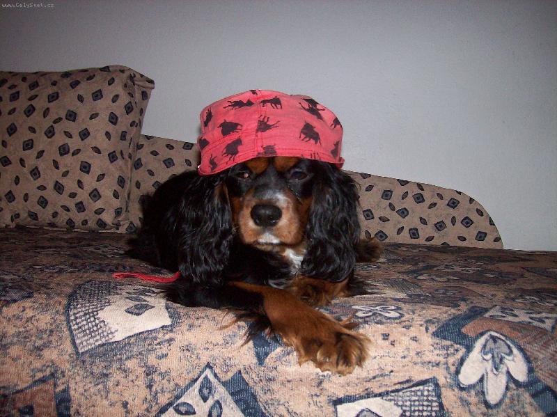 Foto: j�va ��rl�nek-to je co???