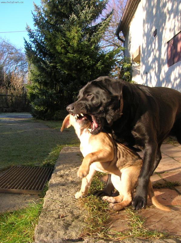 Foto: Ur�ov�n� pravidel-krocen� nov��ka