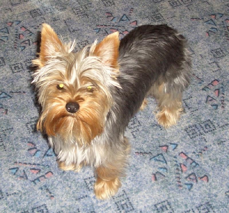 Foto: Na�e fene�ka-tak tohle je na�e Terynka