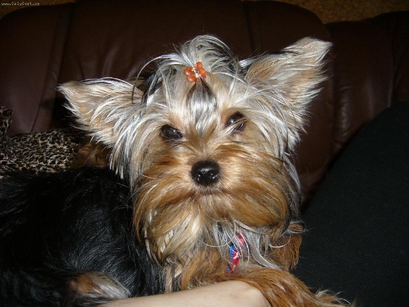 Foto: Ennynka-N� mil�ek