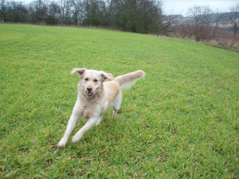 Foto: b�����������m!