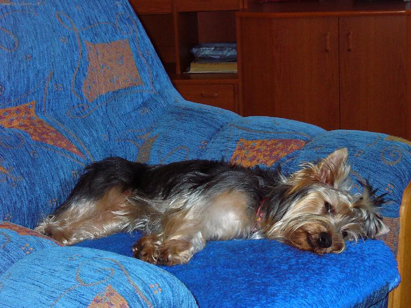 Foto: Benny-To jsme ale vyrostly