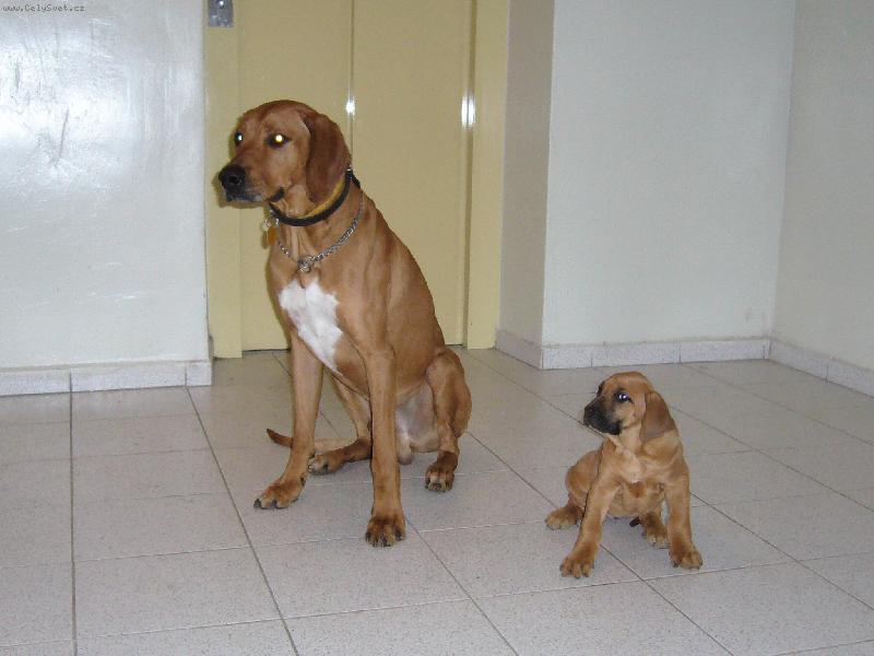 Foto: T�ta a dcera - Gucci a Barunka-Tak tady sed�m se sv�m velk�m ta�kem.Taky budu jednou t���hle velik�.