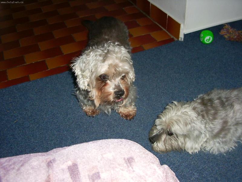 Foto: Dori, vst�vej-po��d se jen v�l�