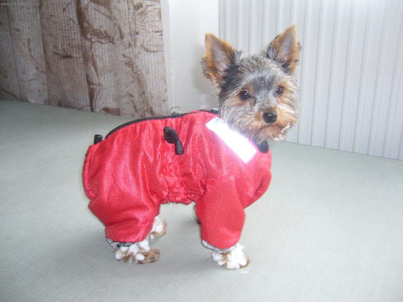 Foto: chce si nekdo zakoulovat? :-)