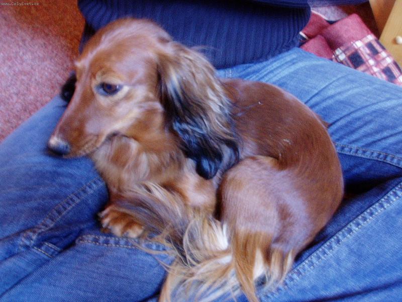 Foto: na�e mal� Nat�lka-na�e mal� Nat�lka