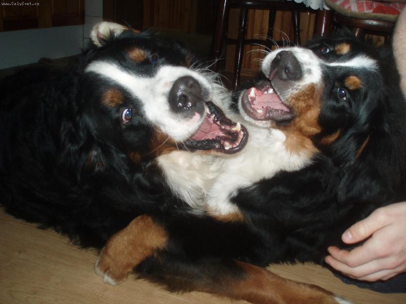 Foto: punsk� vojna-vojna po ber��cky