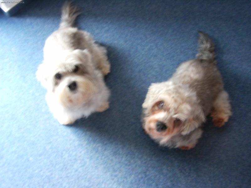 Foto: Dorinka a Ar�ita-\"ty n�co m�?\"