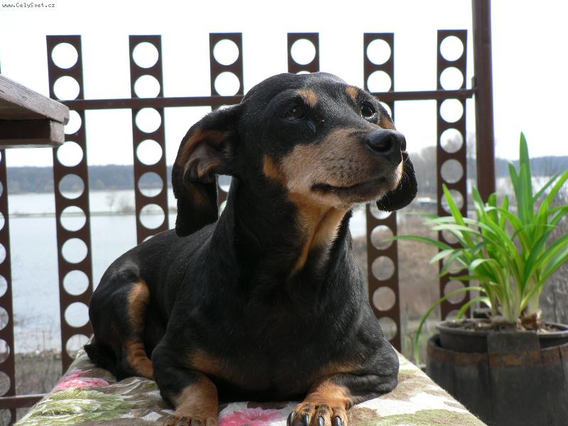 Foto: Andi-sice nemocn�, ale po��d hv�zda