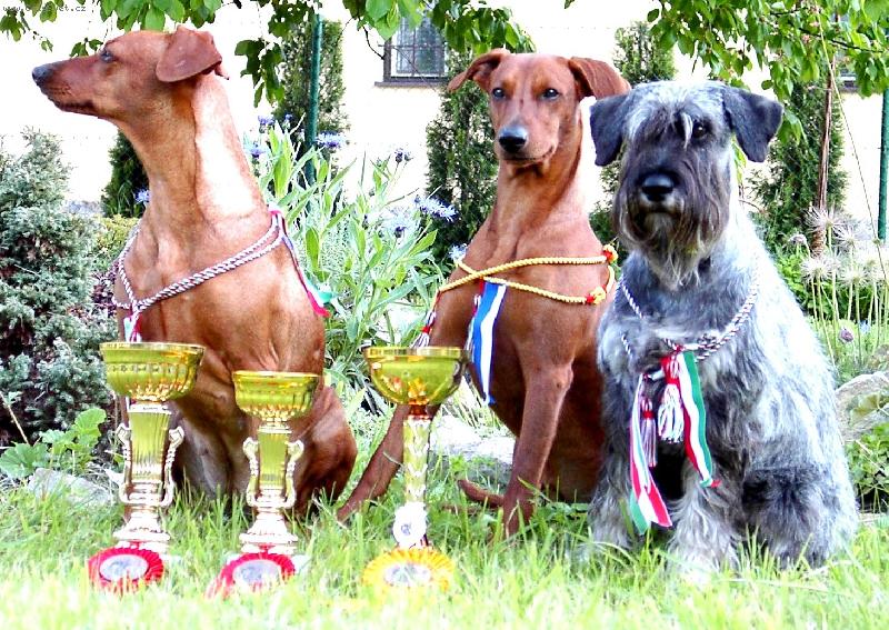 Foto: Rocco Bel + Fabienne Black Bohemia-www.glorialeones.wz.cz