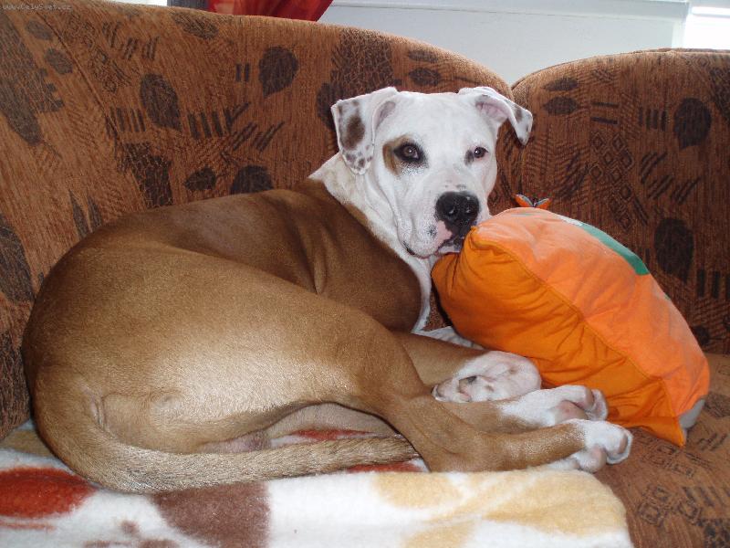 Foto: N�kdy m�m doma p�kn� leh�ro....-Sorbonne 7m�s�c�.