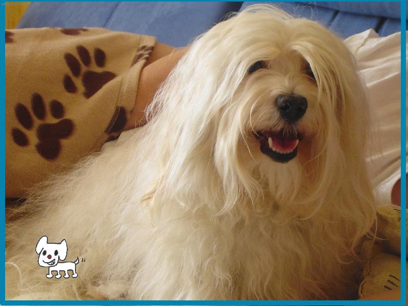 Foto: Candy Bohemia Vampirelli