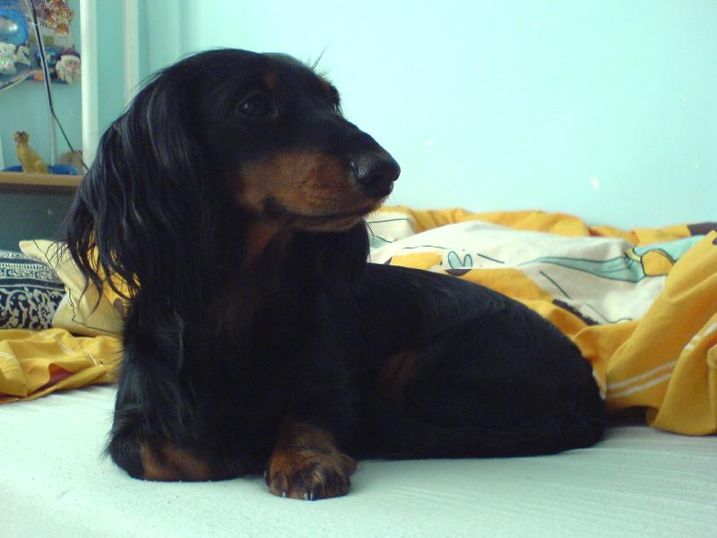 Foto: D�ja ze �t�kotu