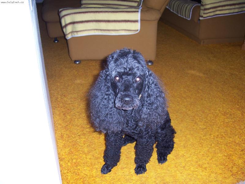 Foto: Fida-To jsem j�, kdy� jsem byl malej.