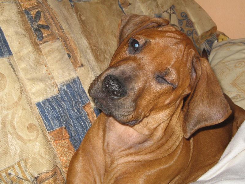 Foto: takhle mrkam!-bart