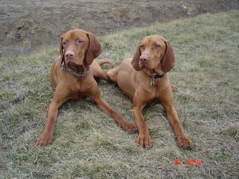 Foto: proch�zka-super dvojka