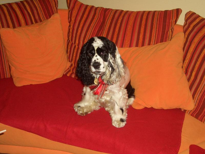 Foto: m� prvn� narozeniny:-\\)-m� prvn� narozeniny:-\\)