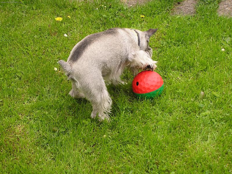 Foto: VIKI-\\.\\.\\.n�jak� dobr�tky\\.\\.\\.