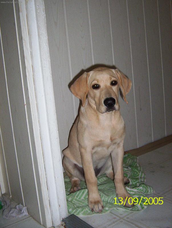 Foto: V kuchyni-sed�m a �ek�m co se bude d�t