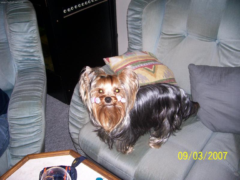 Foto: Bessy-www.jork-bessy.estranky.cz