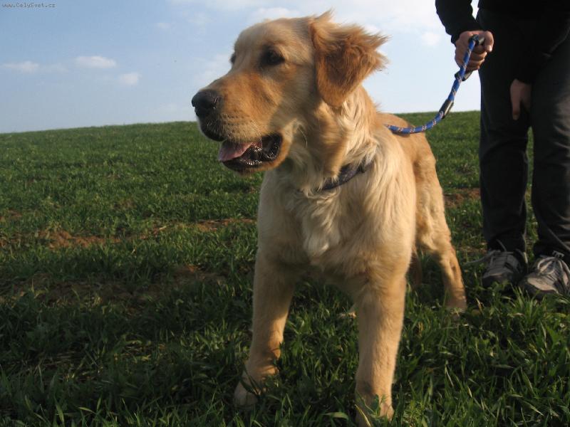 Foto: N� 5tim�s��n� fe��k Jerry:)