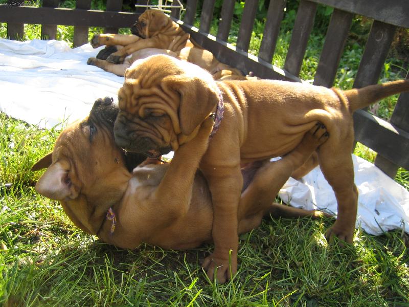 Foto: to n�m byl jeden m�s�c