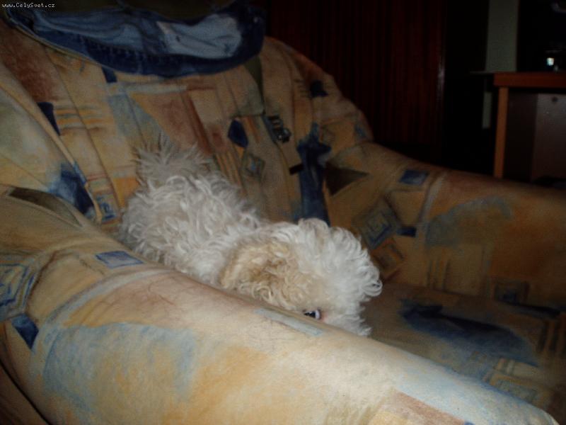 Foto: lucky-u� se nechci fotit !!!