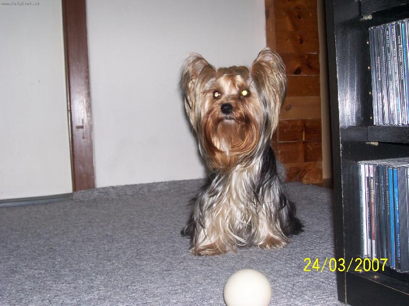 Foto: Bessy-www.jork-bessy.estranky.cz