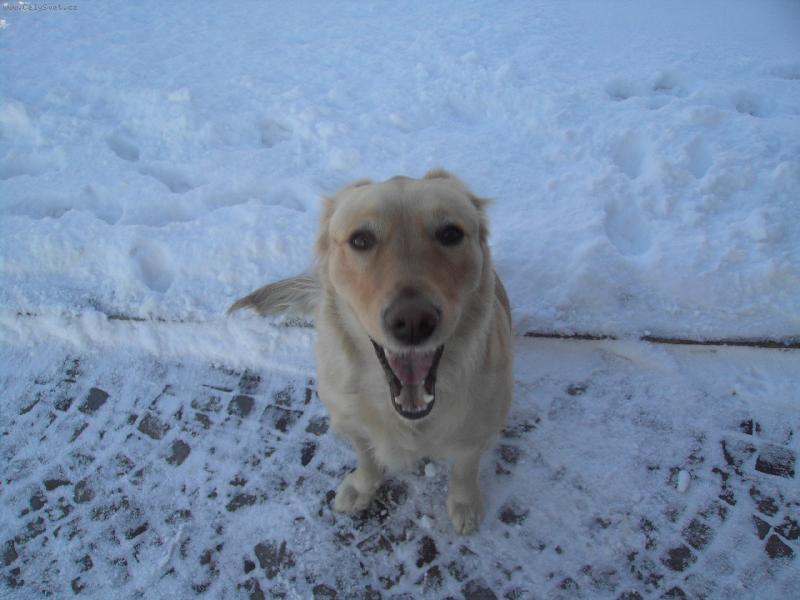 Foto: AI�KA-S���r