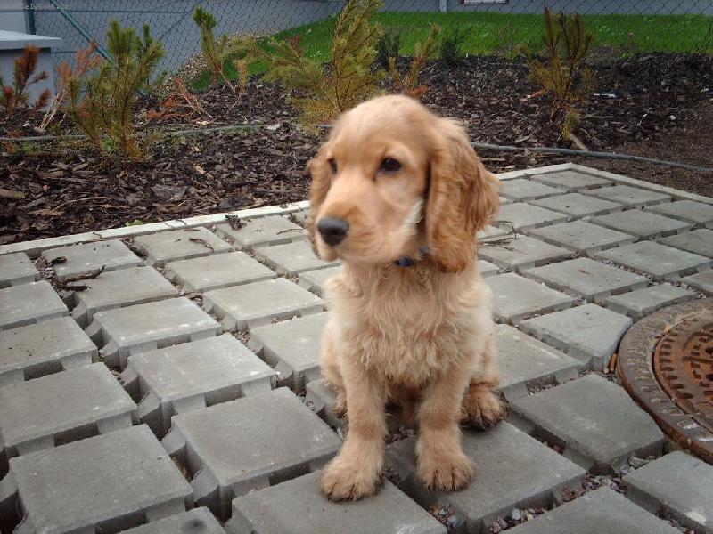 Foto: Ton�k-Je�t� jednou bob�k