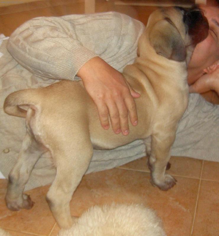 Foto: "Se�eru v�s v�ecky"-N� mazel Baddy