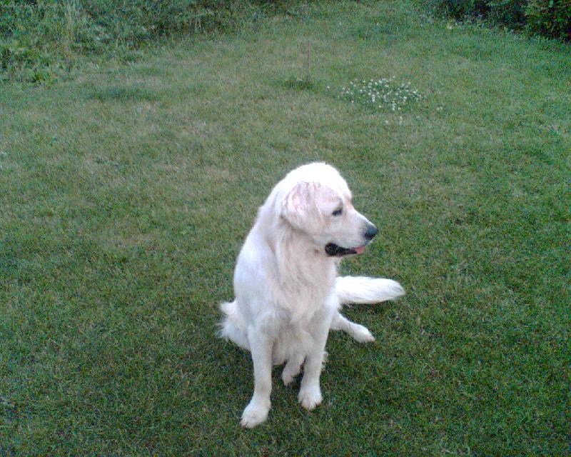 Foto: DASTY-DASTYNEK SE OPALUJE