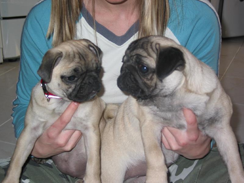 Foto: Anu�ka a Bobinka