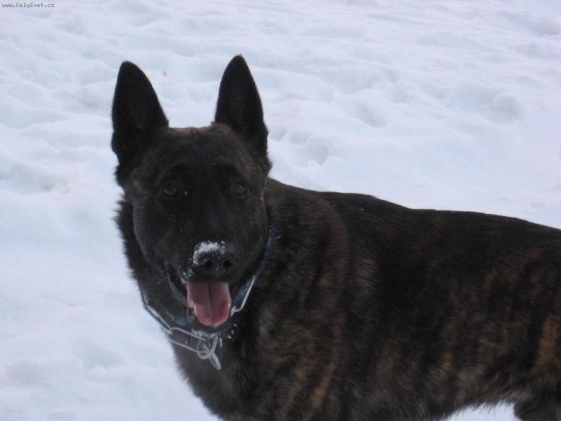 Foto: Attila Z �ebkova panstv�-sn�h