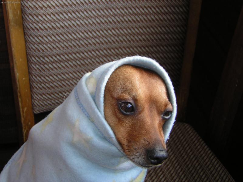 Foto: Je mi velik� zima