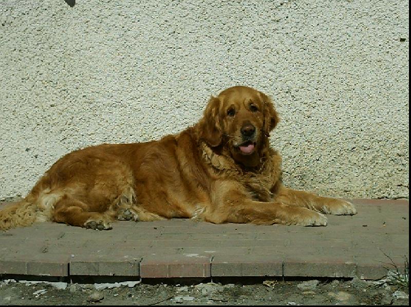 Foto: Jessy-na dubnov�m slun��ku