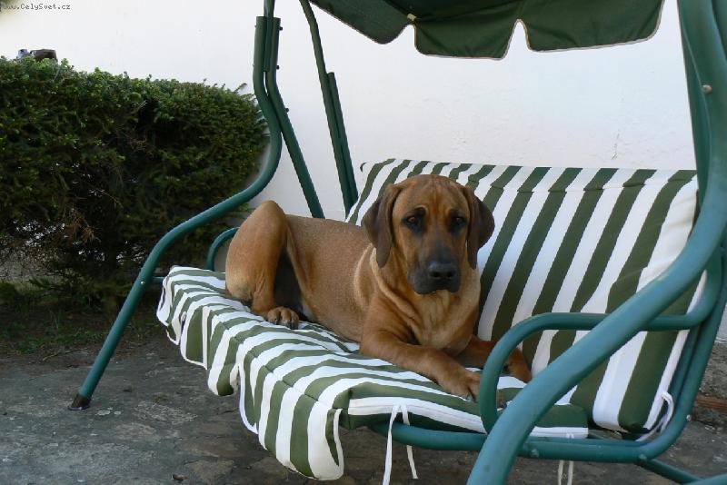 Foto: A u� je moje i houpa�ka!!