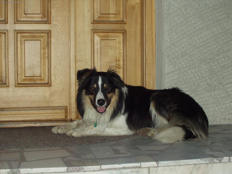 Foto: Rickinek-Hl�d�m a ciz�ho nepust�m!!!:))